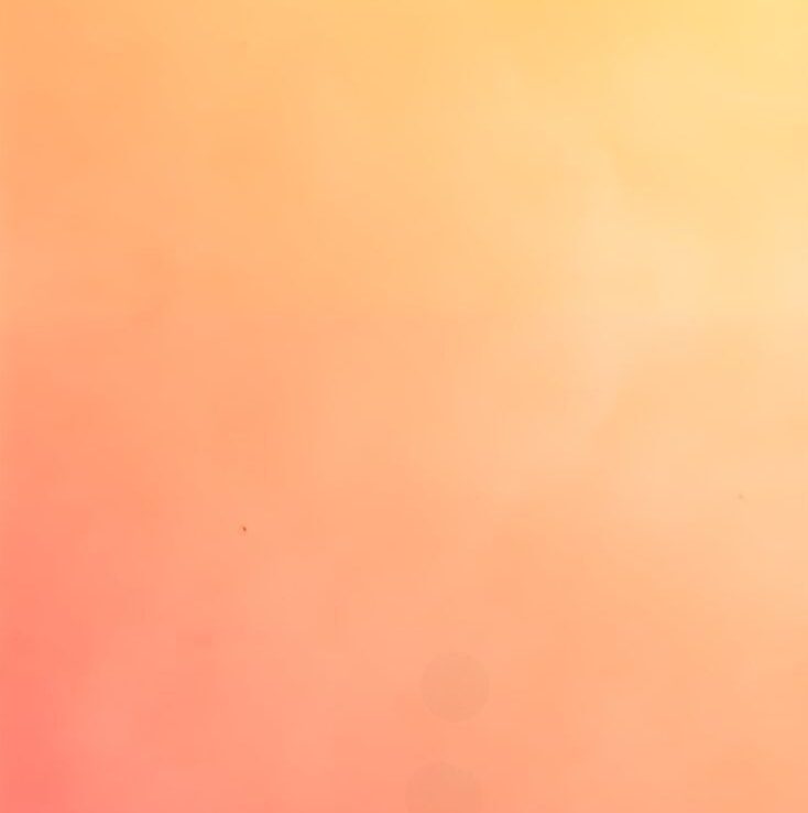 Cropped 52c049c45aeec1e2a004502de17fd689