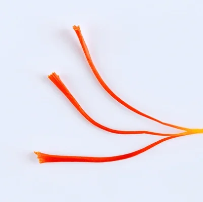 Cropped Single Stamen Saffron Closeup On 600nw 1913823736